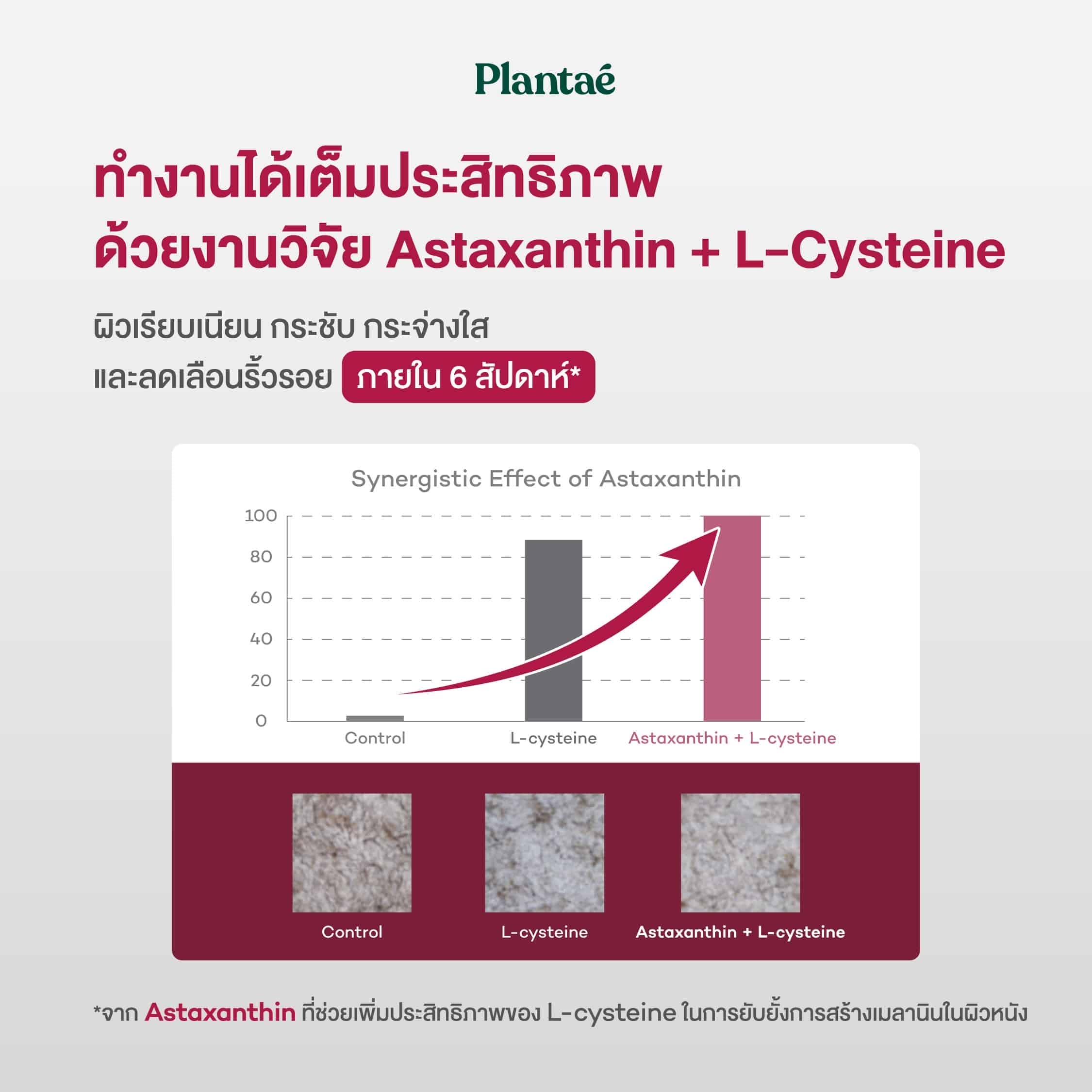 Lychee Licious (Box) - Plantae